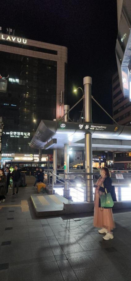 Mizo Hotel Seoul Exterior photo